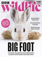 BBC Wildlife Magazine